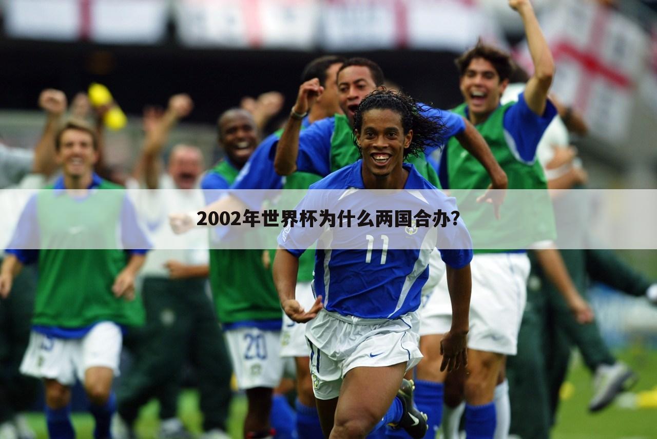 〔2002年世界杯主办国家〕2002世界杯为什么两个国家