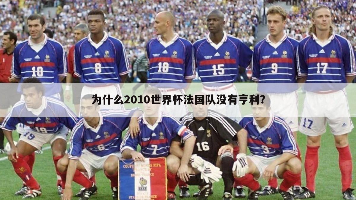 为什么2010世界杯法国队没有亨利？