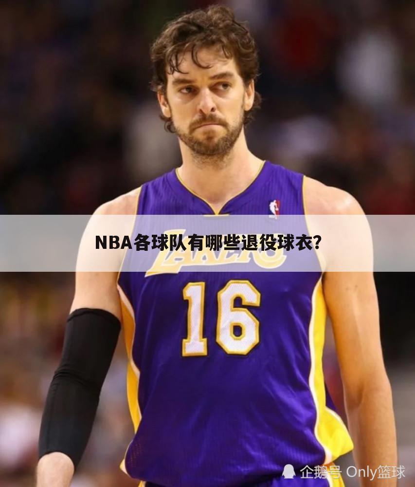 NBA各球队有哪些退役球衣？