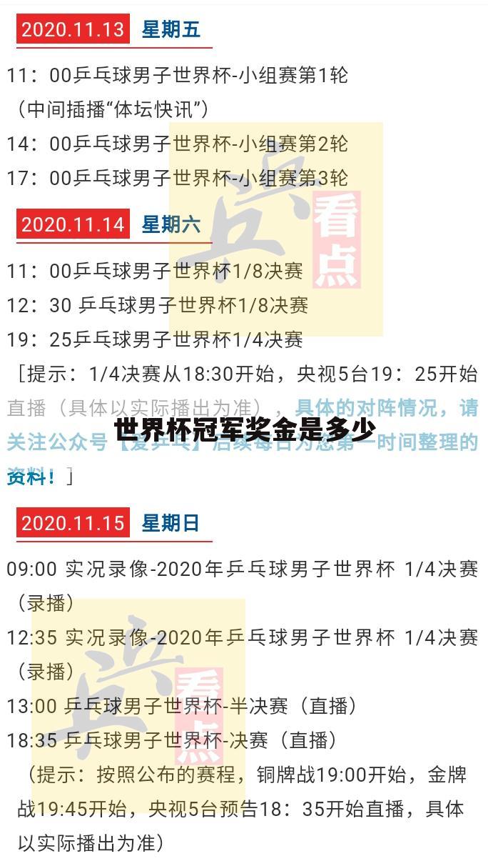 〔世界杯冠军奖金球员〕2022世界杯冠军奖金