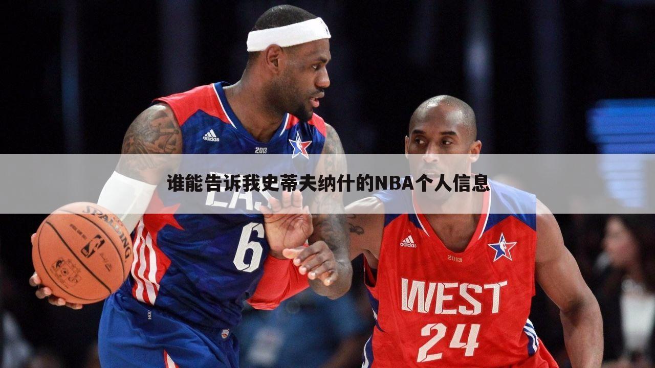 谁能告诉我史蒂夫纳什的NBA个人信息