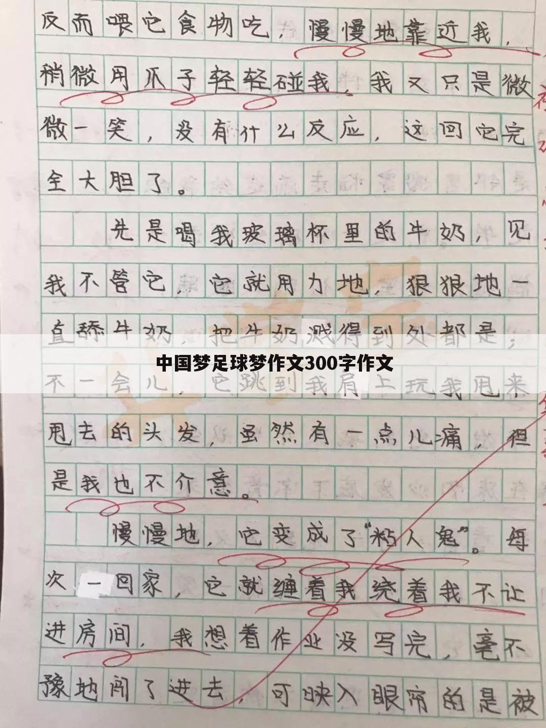 中国梦足球梦作文300字作文