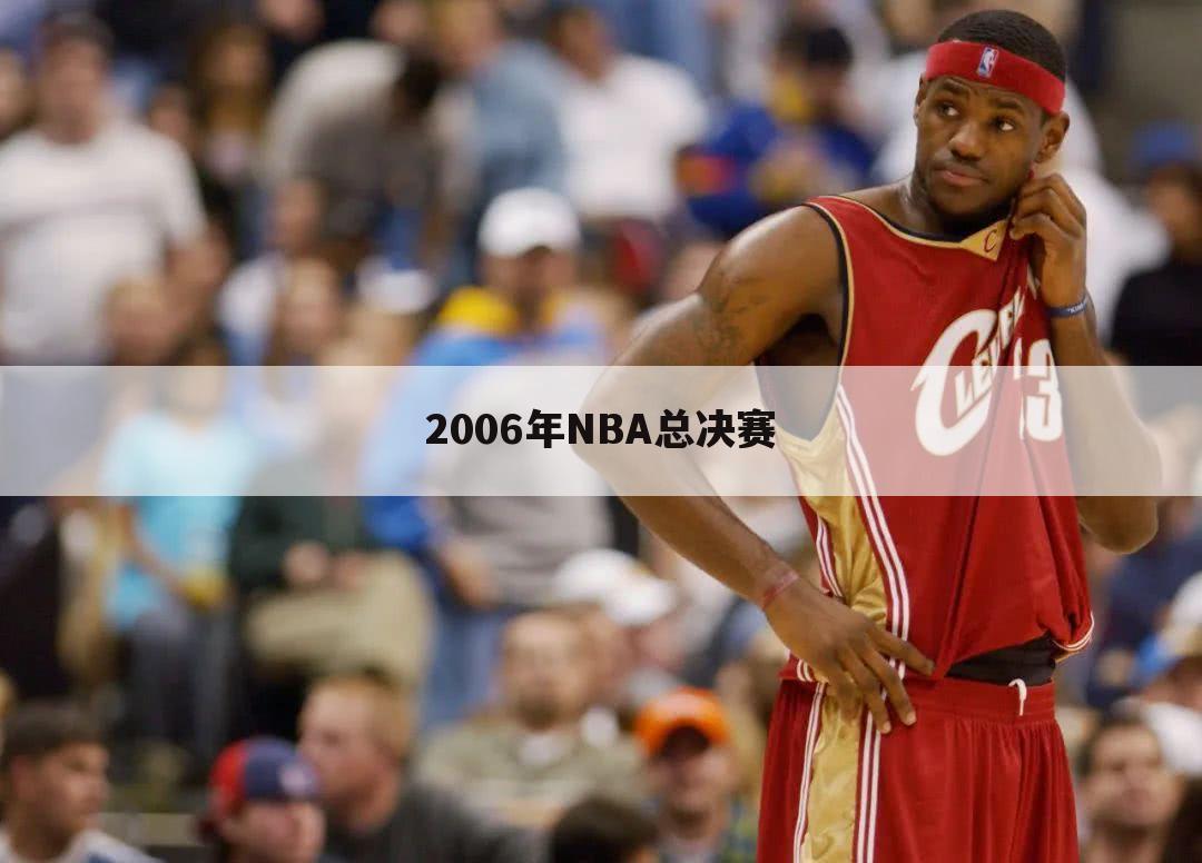 2006年NBA总决赛