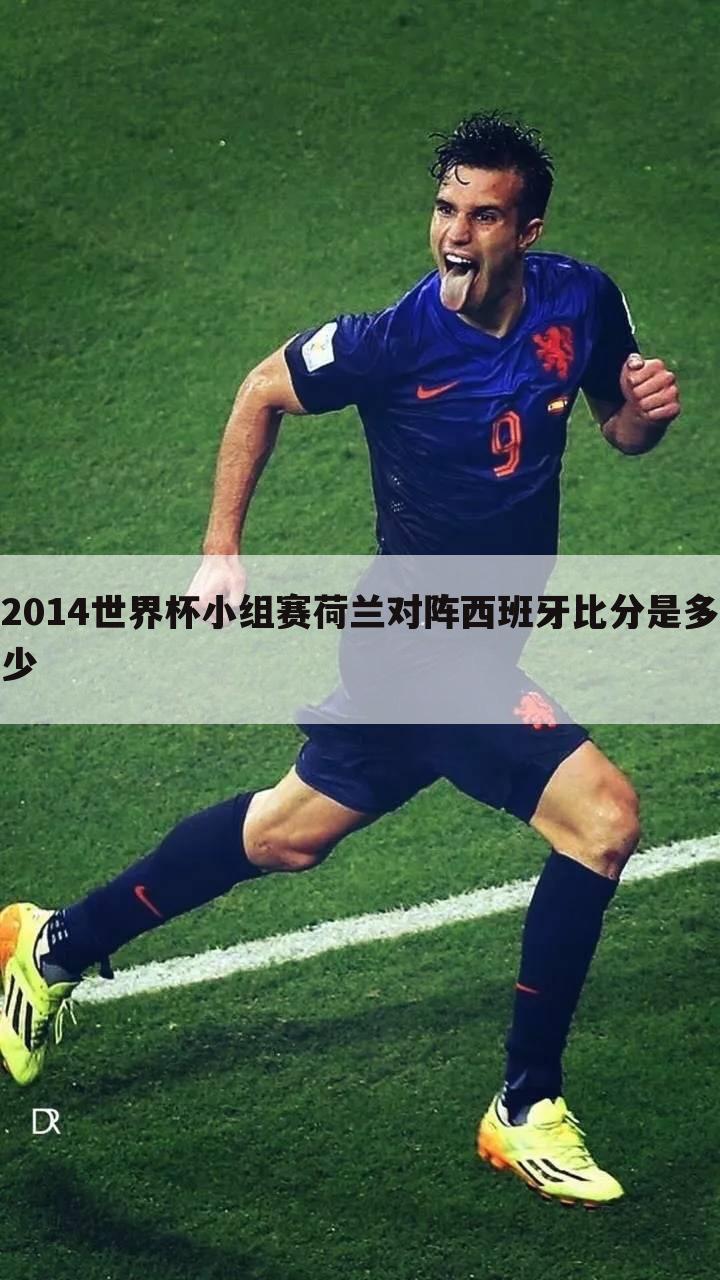 2014世界杯小组赛荷兰对阵西班牙比分是多少