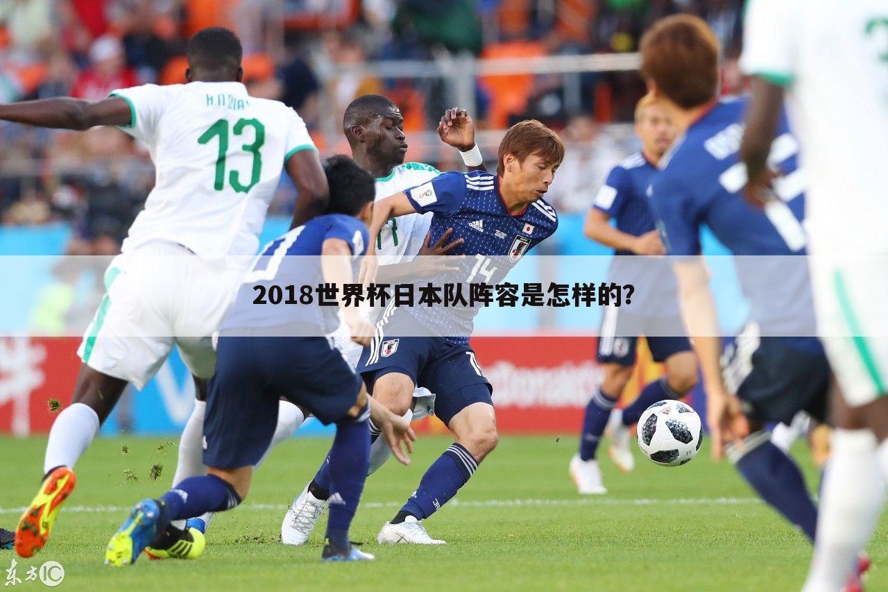 2018世界杯日本队阵容是怎样的？