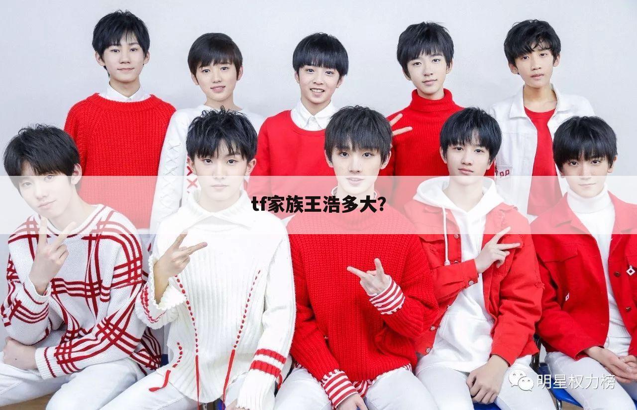 tf家族王浩多大？