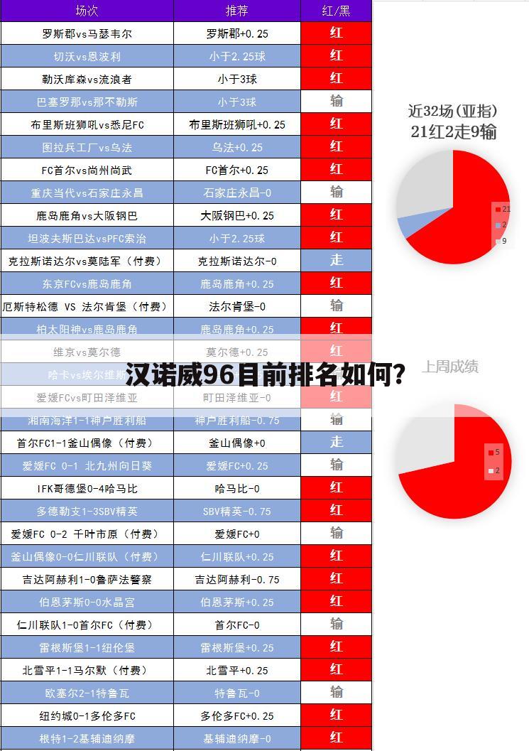 关于汉诺威96门兴德甲的一些介绍