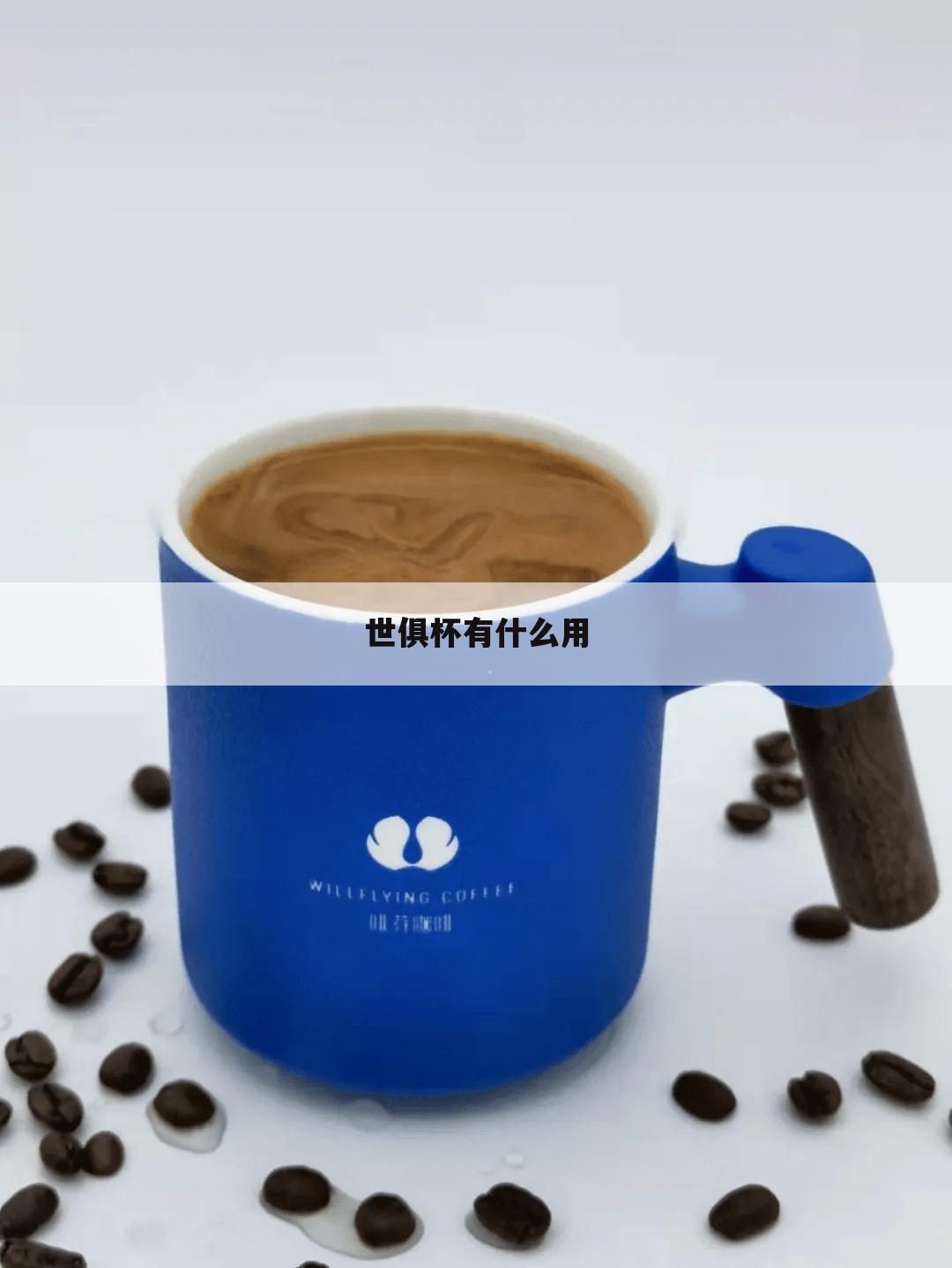 〔世俱杯〕世俱杯是什么意思