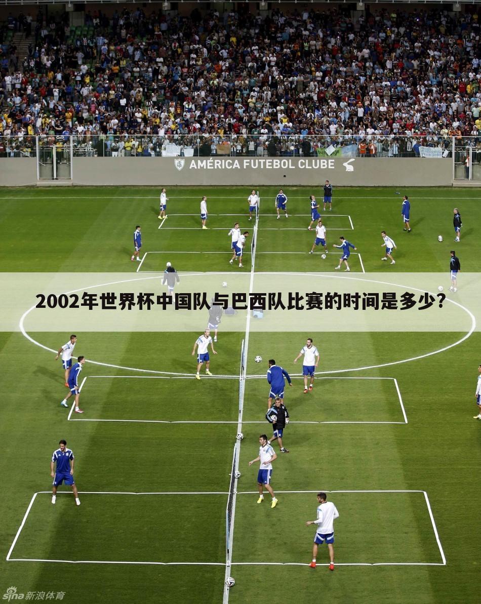 「巴西世界杯与经济」2002年世界杯中国vs巴西