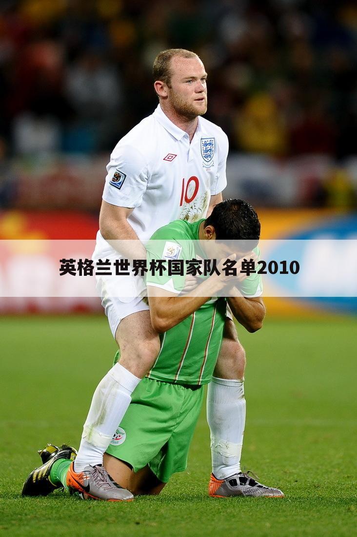 【英格兰2010世界杯】英格兰2010世界杯大名单