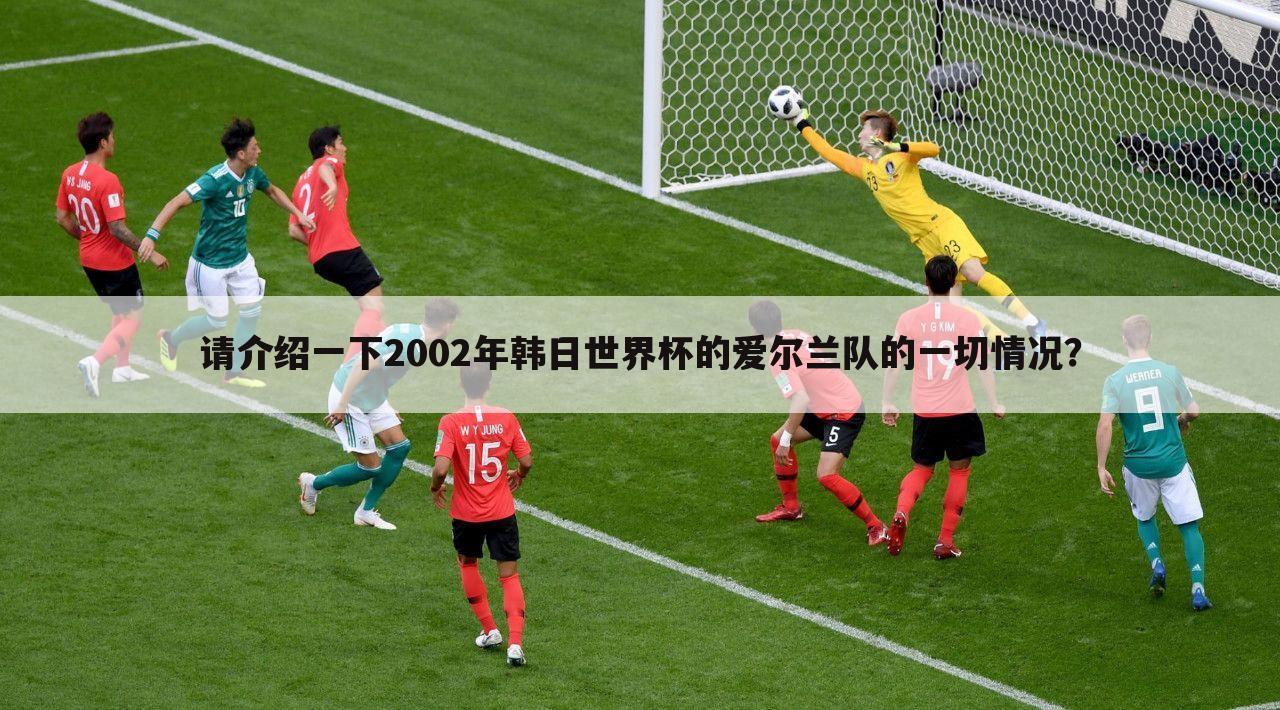 ┏ 2002世界杯喀麦隆 ┛2002世界杯爱尔兰喀麦隆