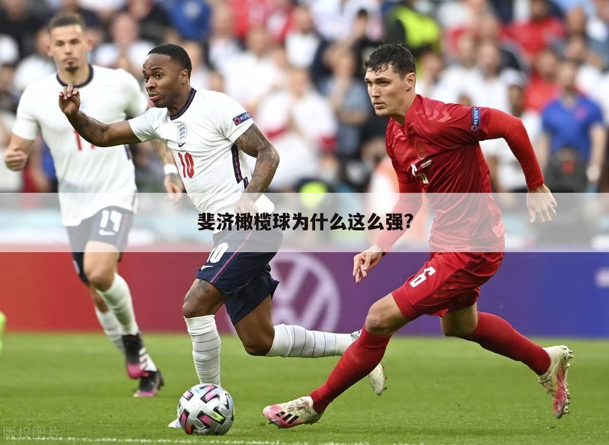 <b>〈橄榄球世界杯2015〉橄榄球世界杯2019斐济</b>