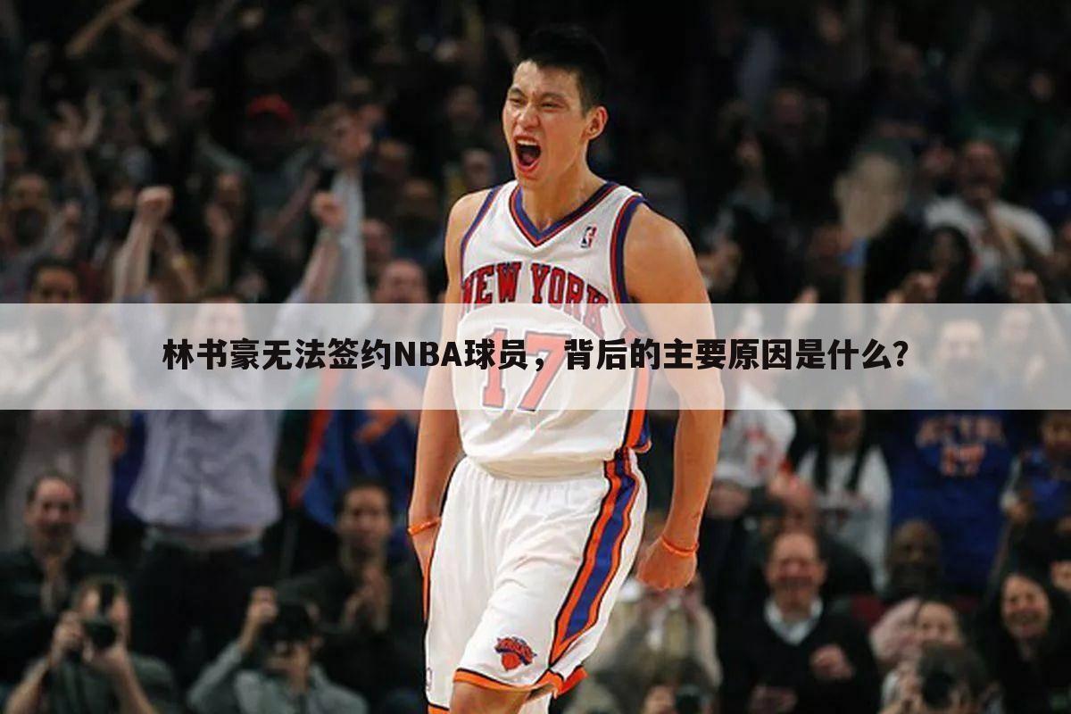 林书豪无法签约NBA球员，背后的主要原因是什么？