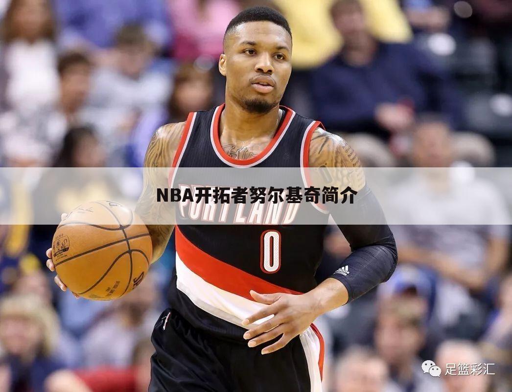 NBA开拓者努尔基奇简介