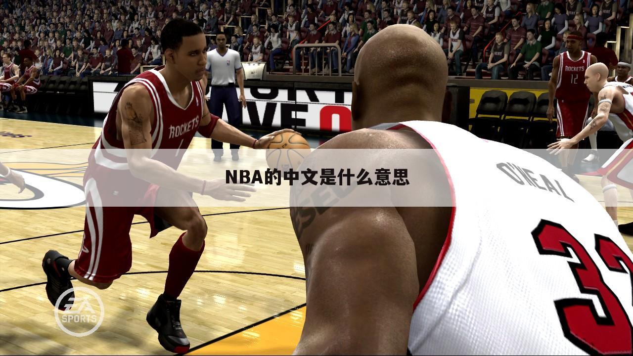 NBA的中文是什么意思