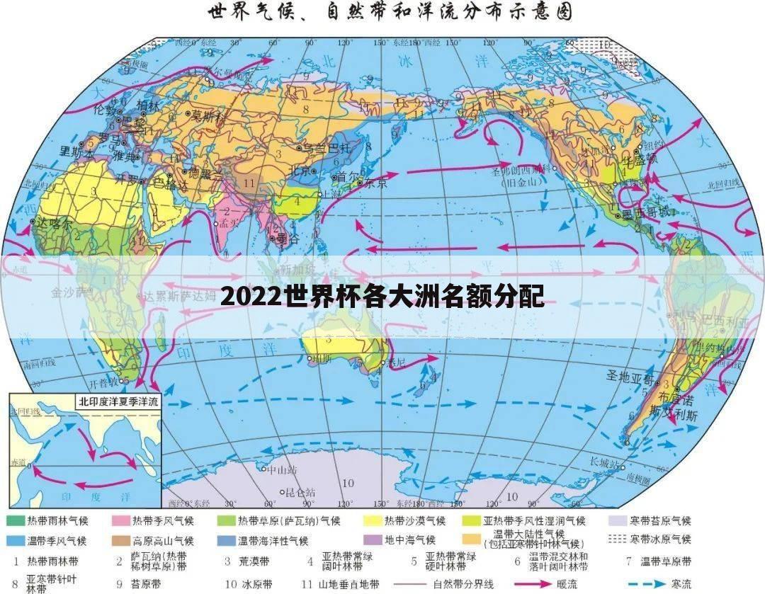 2022世界杯各大洲名额分配