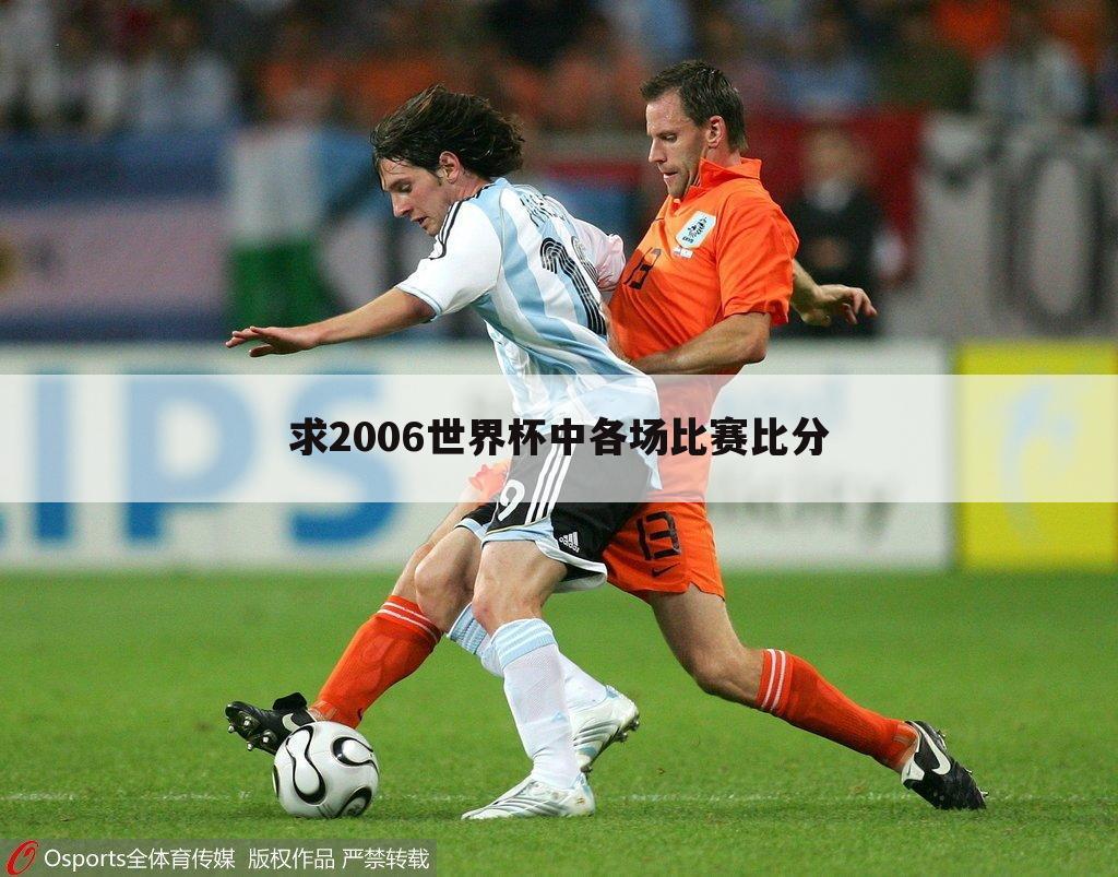 求2006世界杯中各场比赛比分