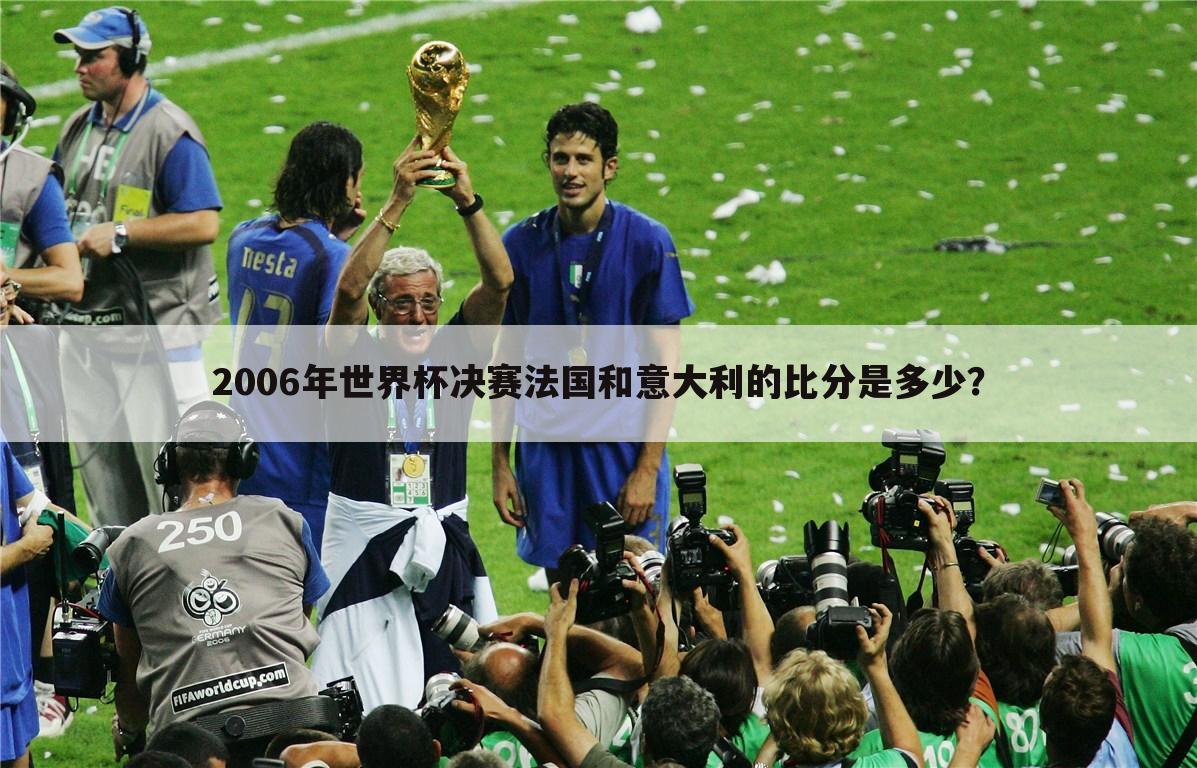 2006年世界杯决赛法国和意大利的比分是多少？