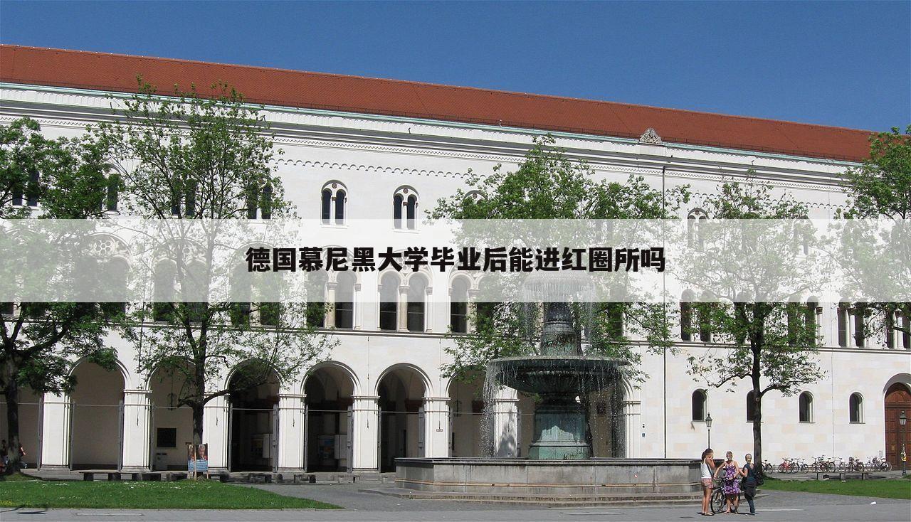 德国慕尼黑大学毕业后能进红圈所吗