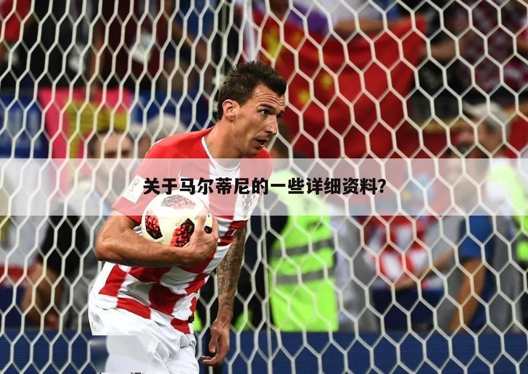 〖马尔蒂尼世界杯〗马尔蒂尼世界杯 虎扑